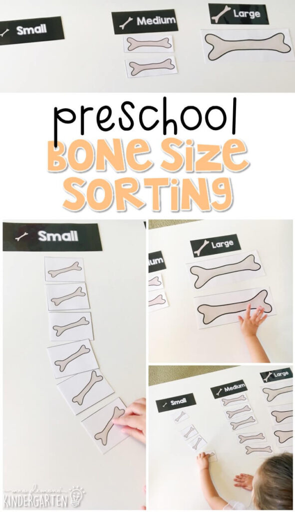This bone size sorting activity is the perfect way to practice sorting skills with a human body theme. Great for tot school, preschool, or even kindergarten!