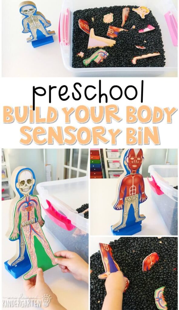 We LOVE this build your body sensory bin. Great for learning about the human body in tot school, preschool, or even kindergarten!