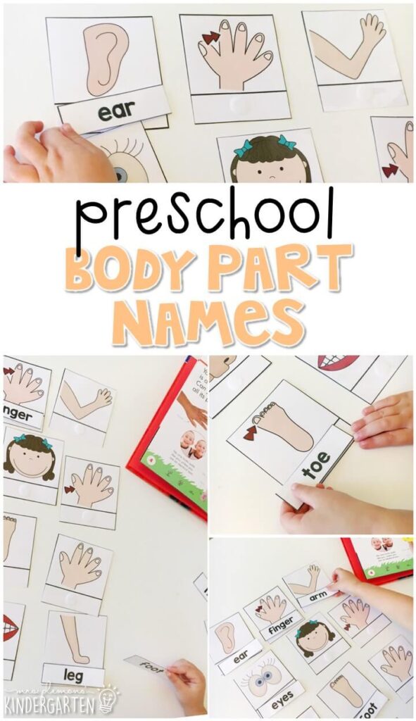 Practice naming and labeling body parts with these vocabulary cards. Great for a human body theme in tot school, preschool, or even kindergarten!