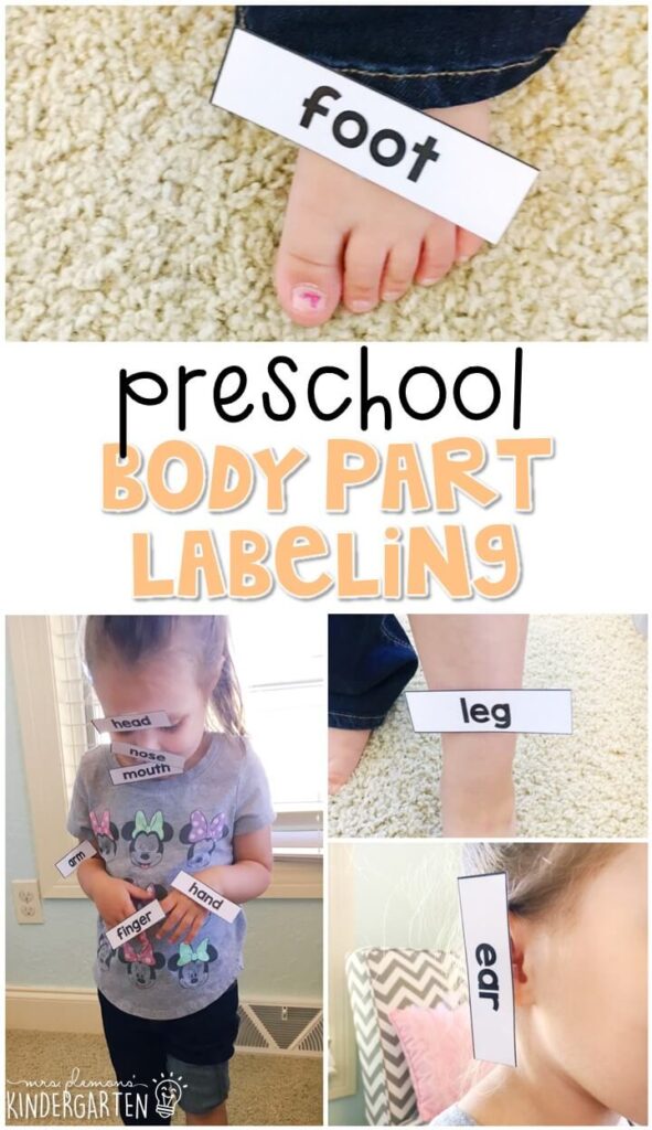 Practice naming and labeling body parts with these vocabulary cards. Great for a human body theme in tot school, preschool, or even kindergarten!