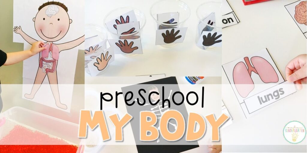 Tons of human body themed activities and ideas. Weekly plan includes read alouds with comprehension activities, literacy practice, math skills, sensory bins, science and art! Perfect for health and science in tot school, preschool, or kindergarten.