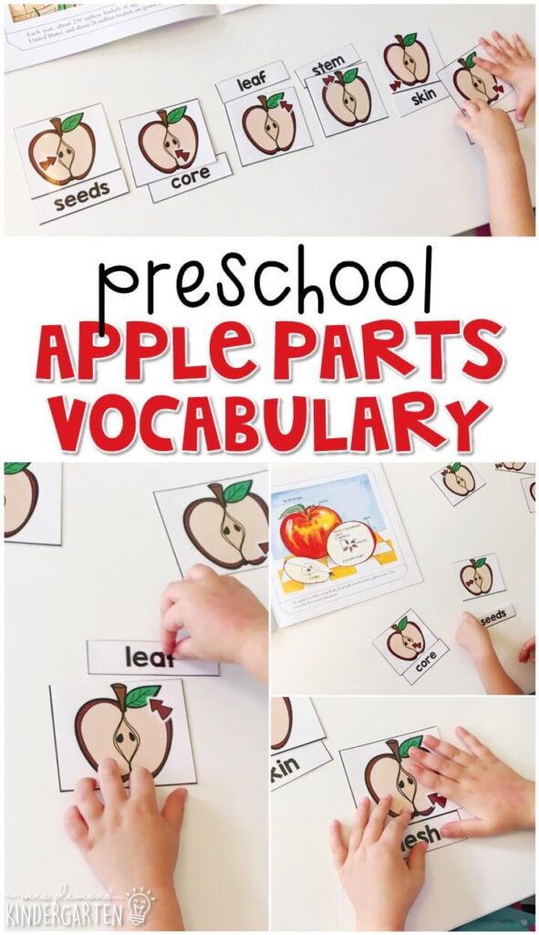 Read about the parts of an apple, then use word cards to read and match to each picture. Great for tot school, preschool, or even kindergarten!