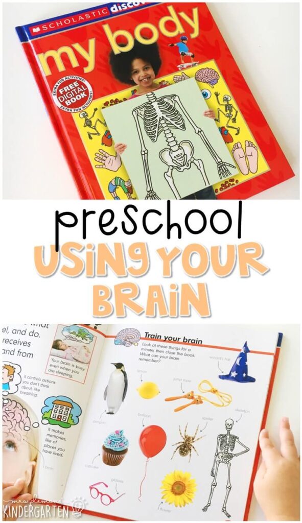 Learn about the human body and your brain with this awesome nonfiction book for young readers. Great for tot school, preschool, or even kindergarten!