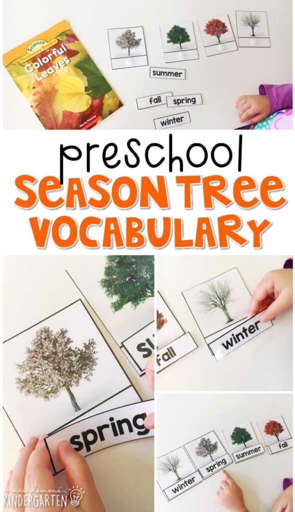 Read about the changes that trees go through during each season. Then practice matching vocabulary words to match each season. Great for tot school, preschool, or even kindergarten!