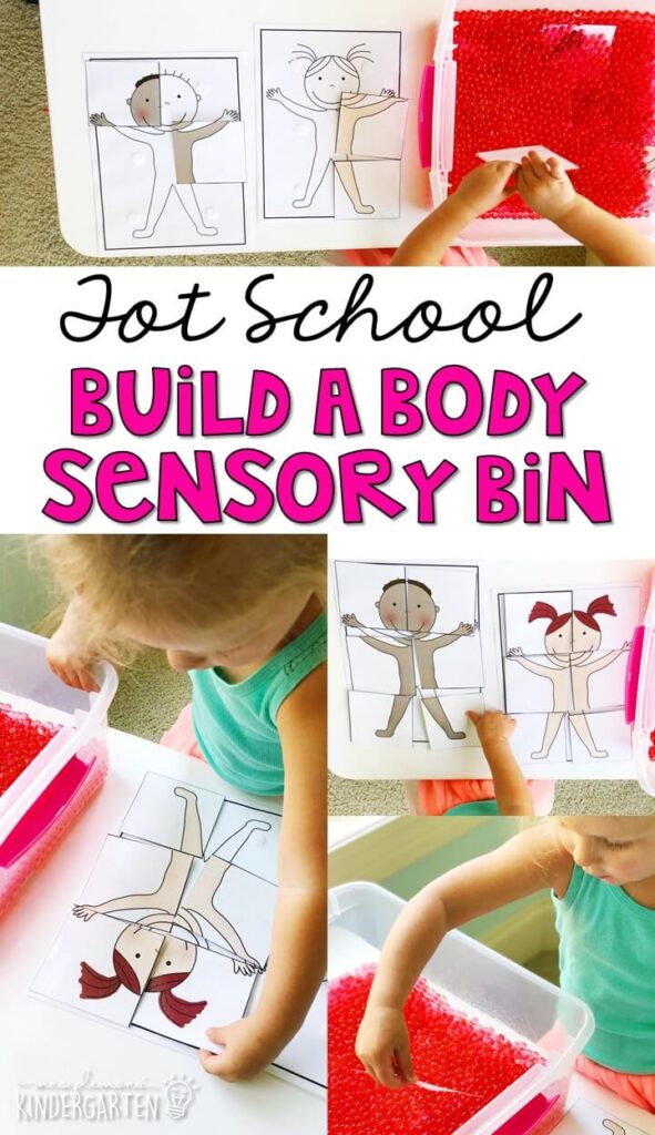 We LOVE this build a body sensory bin. Work on fine motor skills, matching pictures, and identifying body parts. Great for an all about me theme in tot school, preschool, or even kindergarten!