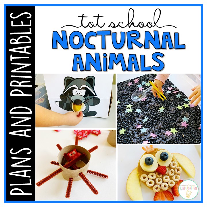 Tot School: Nocturnal Animals {Plans and Printables} - Mrs. Plemons'  Kindergarten