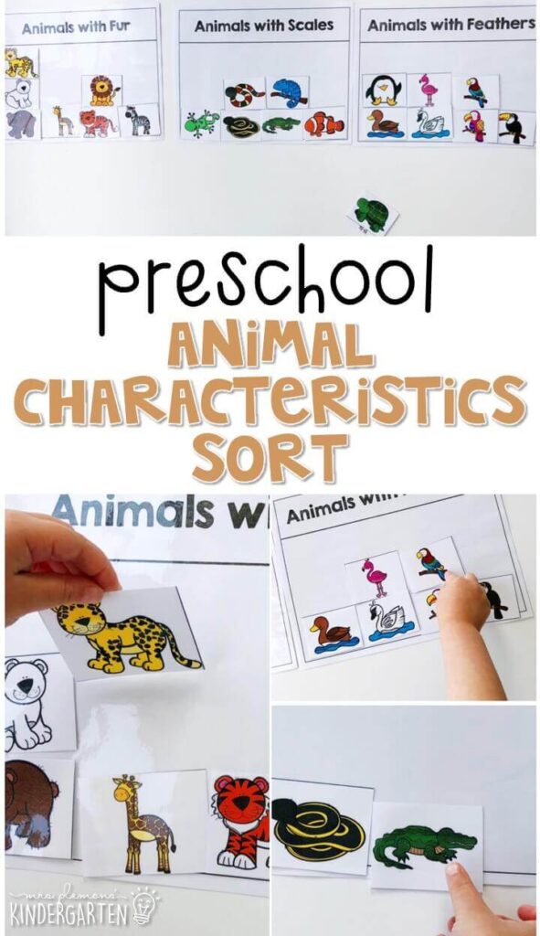 Practice zoo animal vocabulary with this vocabulary cards matching activity. Great for a zoo theme in tot school, preschool, or even kindergarten!