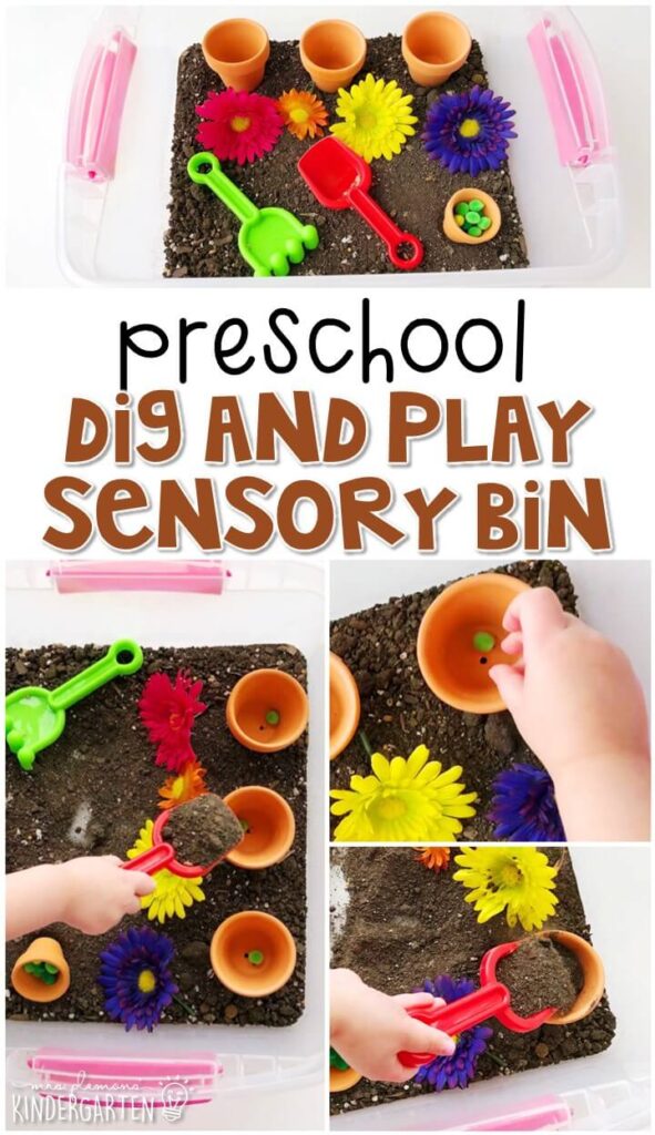 We LOVE this dig and play sensory bin. Perfect for exploration with a plant theme in tot school, preschool, or even kindergarten!