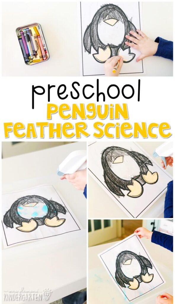 This penguin feather science activity was a fun way to explore feathers. Great for winter in tot school, preschool, or even kindergarten!