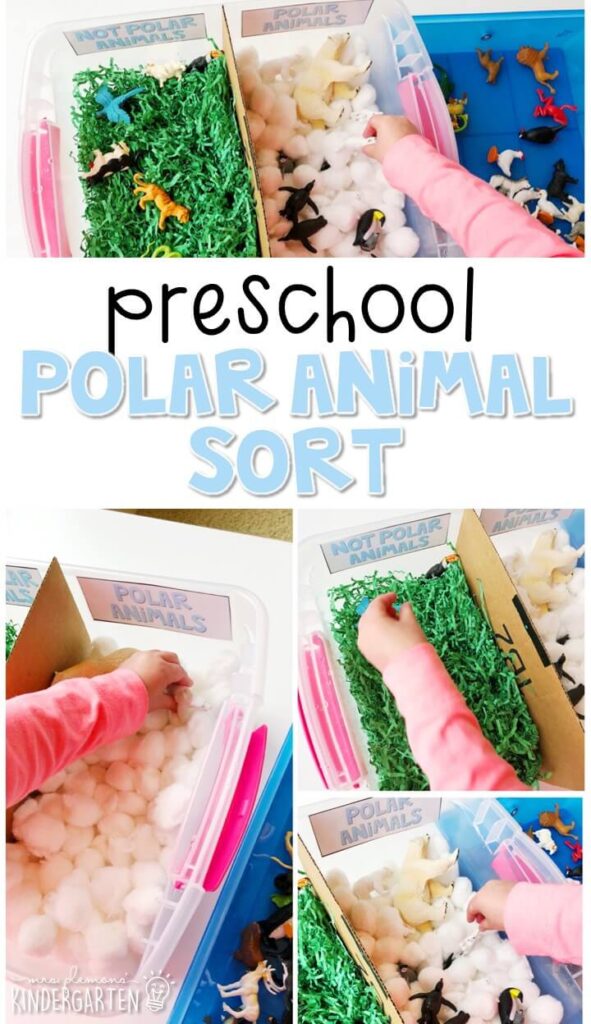 This polar animal sort was a fun way to explore science concepts . Great for winter in tot school, preschool, or even kindergarten!