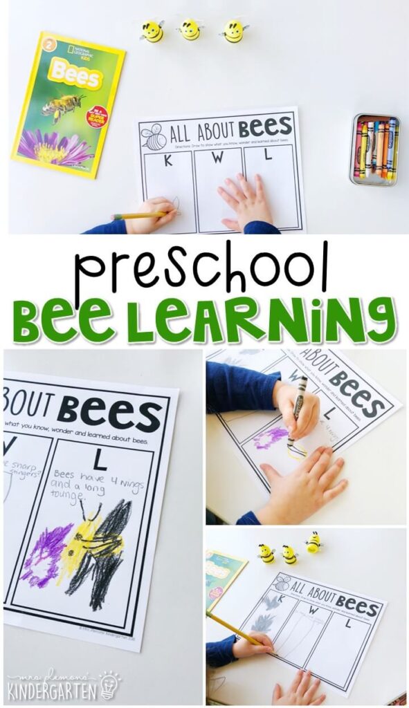 This color by syllable bee activity is great for identifying syllables and fine motor practice. Great for an insect theme in tot school, preschool, or even kindergarten!