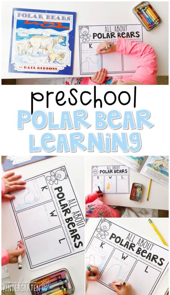 Introduce non fiction reading comprehension to preschoolers with Polar Bears by Gail Gibbons. Identify background knowledge, ask questions and record new learning. Great for a polar bear theme in tot school, preschool, or even kindergarten!