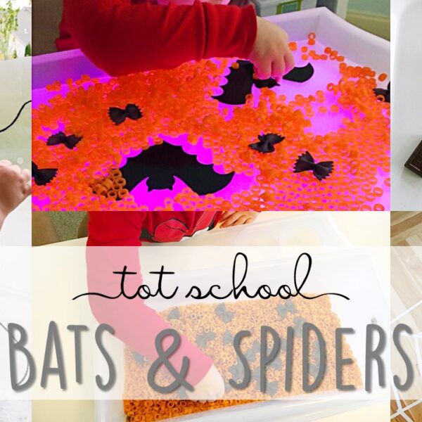Tons of bat and spider themed activities and ideas. Weekly plan includes books, fine motor, gross motor, sensory bins, snacks and more! Perfect for fall or Halloween in tot school, preschool, or kindergarten.