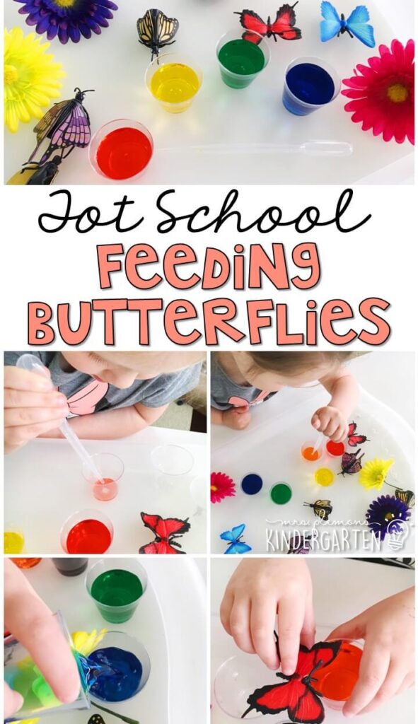 Learning is more fun when it involves movement! This feed the hungry caterpillar game was an easy and fun gross motor activity for our butterfly theme. Great for tot school, preschool, or even kindergarten!