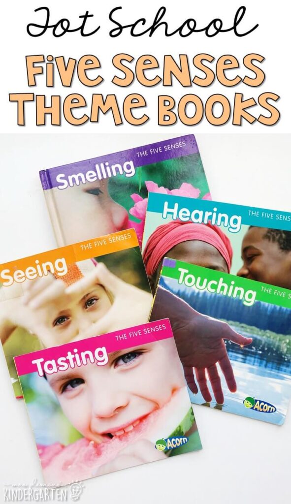 5 great books to read aloud for a five senses theme. Perfect for tot school, preschool, or even kindergarten.