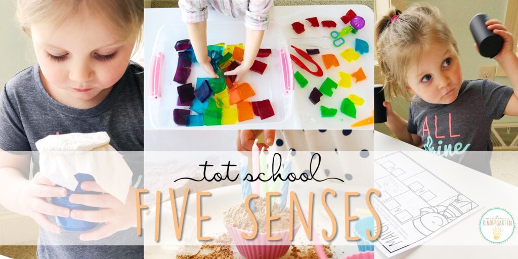 Tons of five senses themed activities and ideas. Weekly plan includes books, literacy, math, science, art, sensory bins, and more! Perfect for tot school, preschool, or kindergarten.