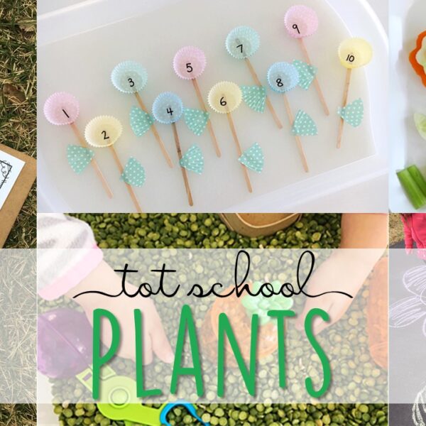 Tons of plant themed activities and ideas. Weekly plan includes books, literacy, math, science, art, sensory bins, and more! Perfect for tot school, preschool, or kindergarten.