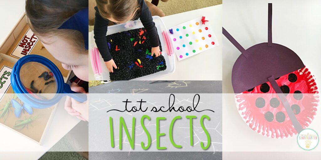 Tons of insect themed activities and ideas. Weekly plan includes books, literacy, math, science, art, sensory bins, and more! Perfect for tot school, preschool, or kindergarten.
