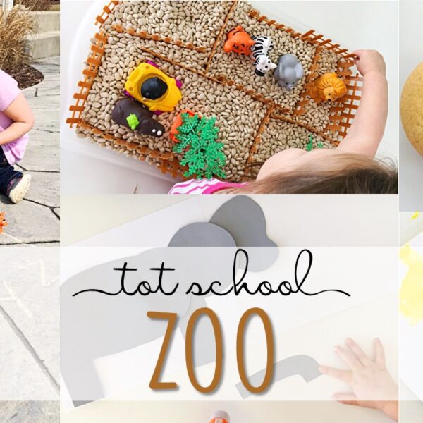 Tons of zoo themed activities and ideas. Weekly plan includes books, literacy, math, science, art, sensory bins, and more! Perfect for tot school, preschool, or kindergarten.