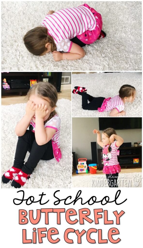 Learning is more fun when it involves movement! Acting out the stages of the butterfly life cycle was a really fun gross motor activity. Great for spring in tot school, preschool, or even kindergarten!